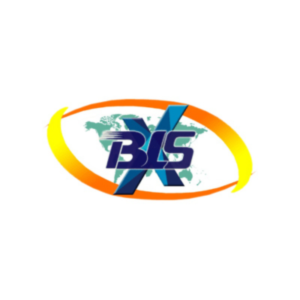 BLSX Limited Logo