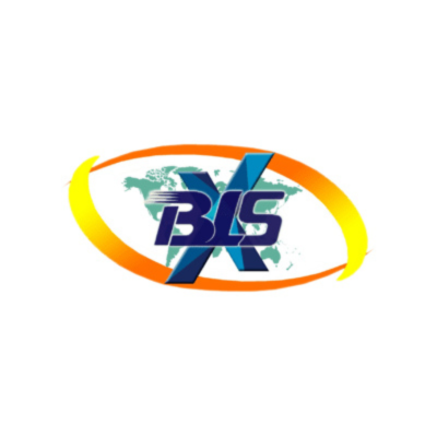 BLSX Limited Logo